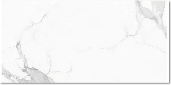 伟德BETVLCTOR1946始于英国(中国游)·官网