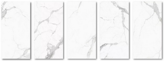 伟德BETVLCTOR1946始于英国(中国游)·官网