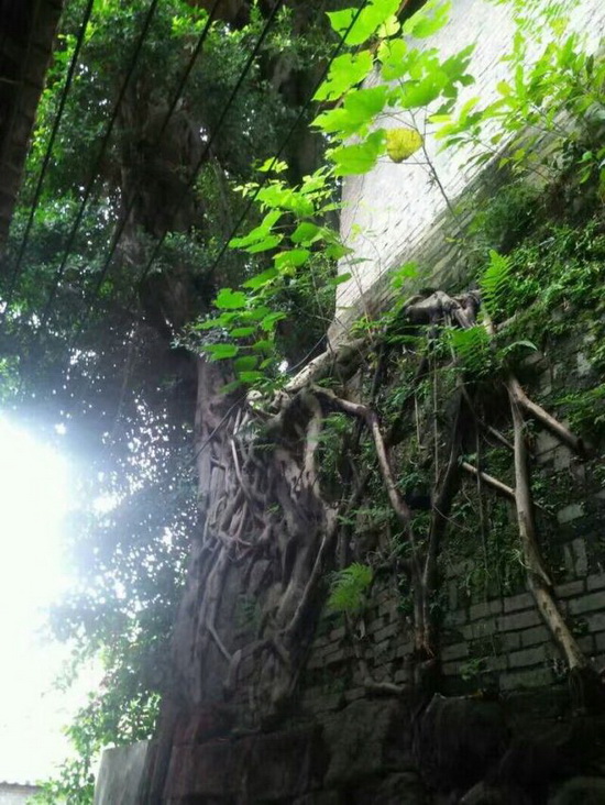 伟德BETVLCTOR1946始于英国(中国游)·官网