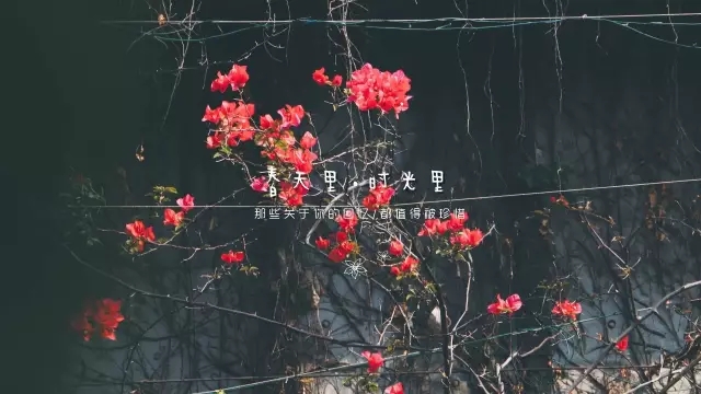 伟德BETVLCTOR1946始于英国(中国游)·官网