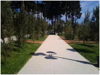 伟德BETVLCTOR1946始于英国(中国游)·官网