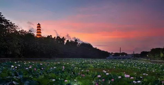 伟德BETVLCTOR1946始于英国(中国游)·官网