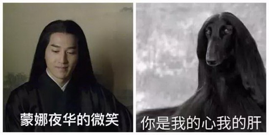 伟德BETVLCTOR1946始于英国(中国游)·官网