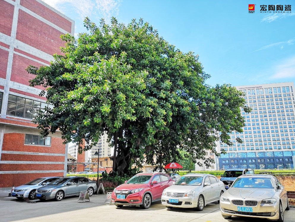 伟德BETVLCTOR1946始于英国(中国游)·官网