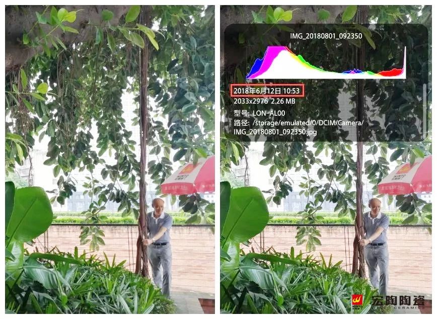 伟德BETVLCTOR1946始于英国(中国游)·官网