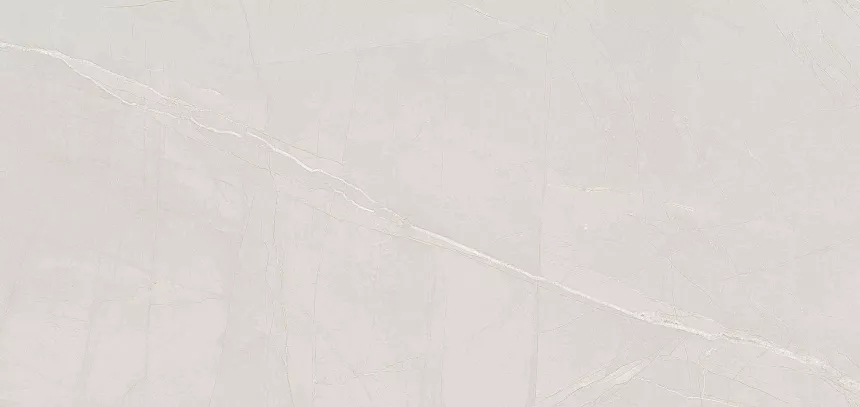 伟德BETVLCTOR1946始于英国古堡灰