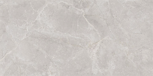 伟德BETVLCTOR1946始于英国瓷片型号：W60020EP-WH（二合一）