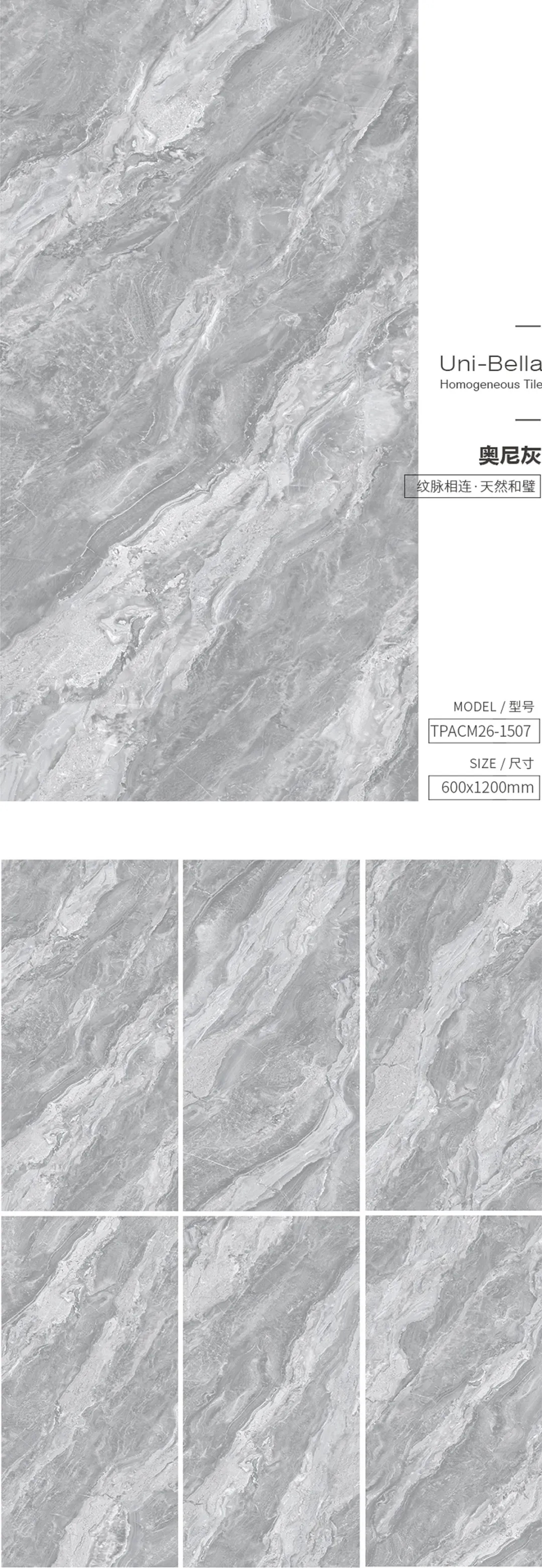 伟德BETVLCTOR1946始于英国和璧岩·通体灰色瓷砖地砖