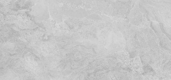 伟德BETVLCTOR1946始于英国灰色大板瓷砖地砖