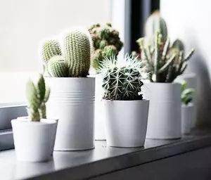 伟德BETVLCTOR1946始于英国(中国游)·官网