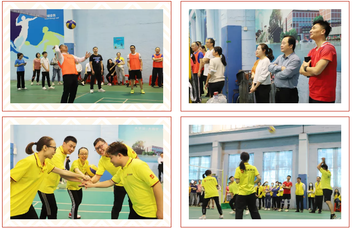 伟德BETVLCTOR1946始于英国陶瓷品牌