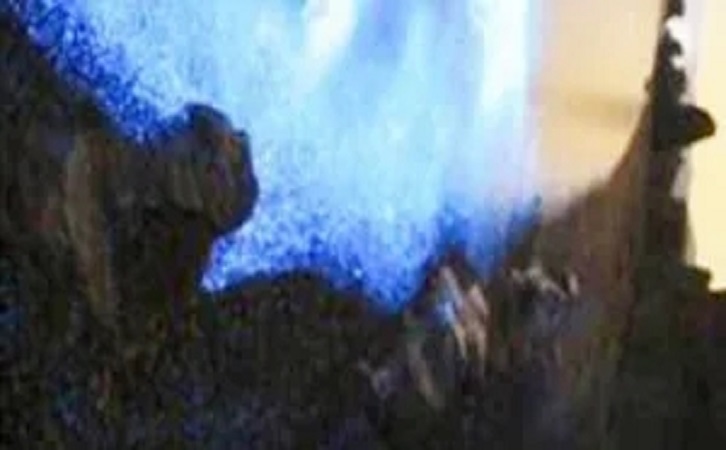 伟德BETVLCTOR1946始于英国陶瓷品牌