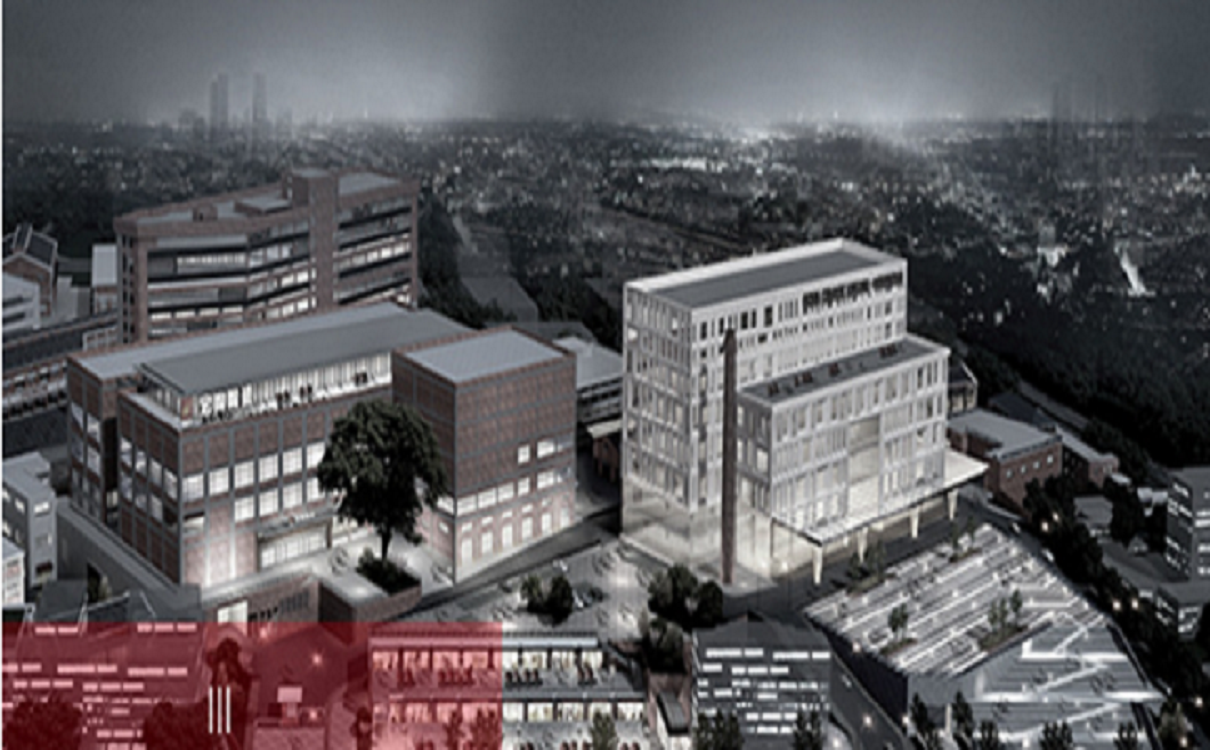 伟德BETVLCTOR1946始于英国陶瓷品牌