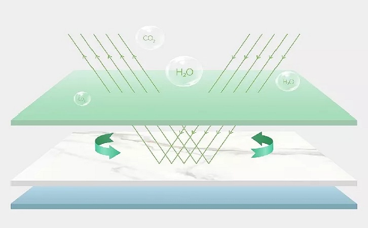 佛山伟德BETVLCTOR1946始于英国图片