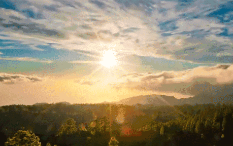 伟德BETVLCTOR1946始于英国陶瓷