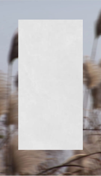 伟德BETVLCTOR1946始于英国葭灰质感砖图