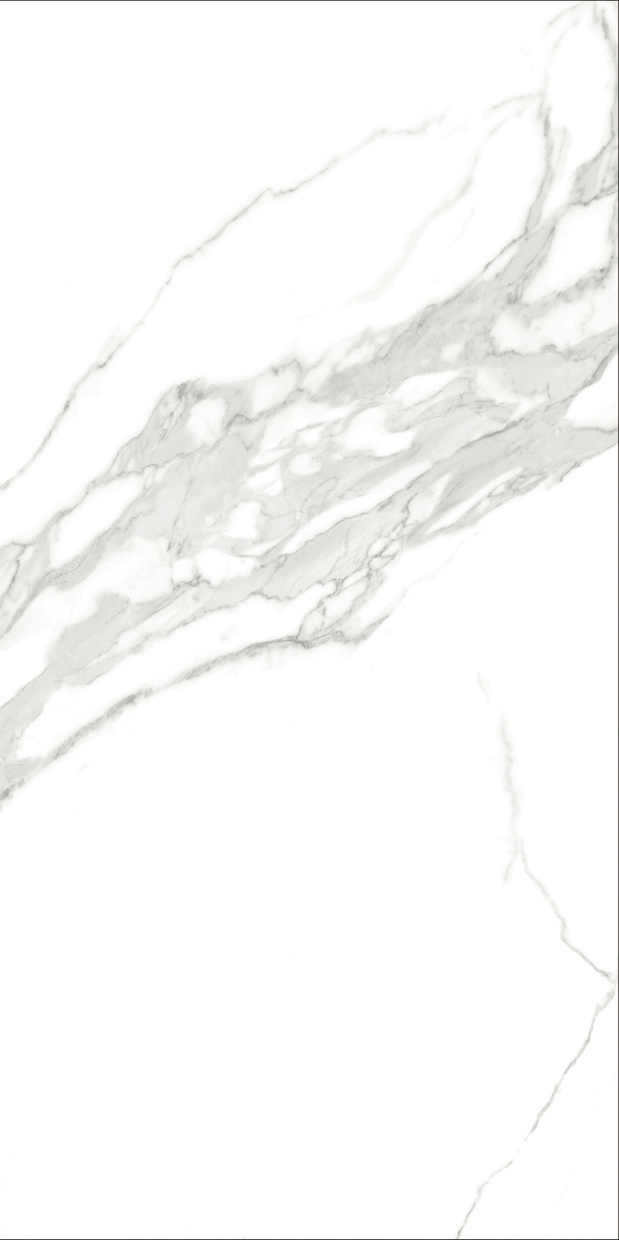 伟德BETVLCTOR1946始于英国(中国游)·官网