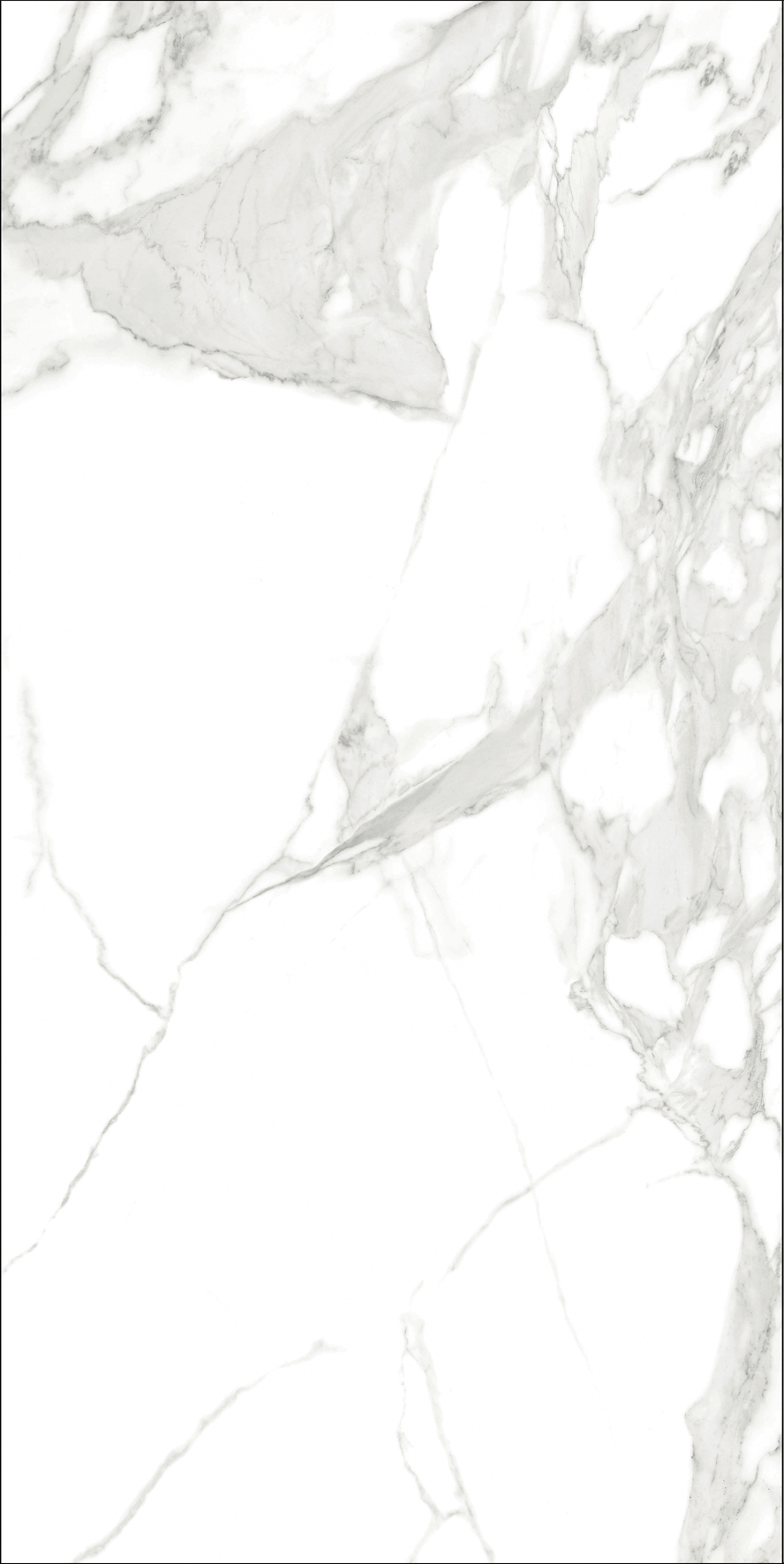 伟德BETVLCTOR1946始于英国(中国游)·官网