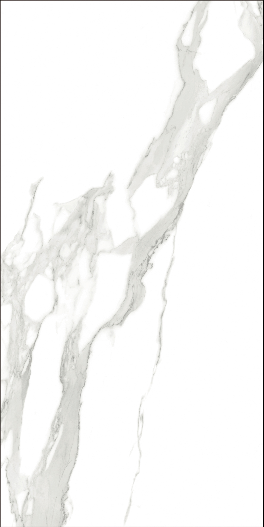 伟德BETVLCTOR1946始于英国(中国游)·官网