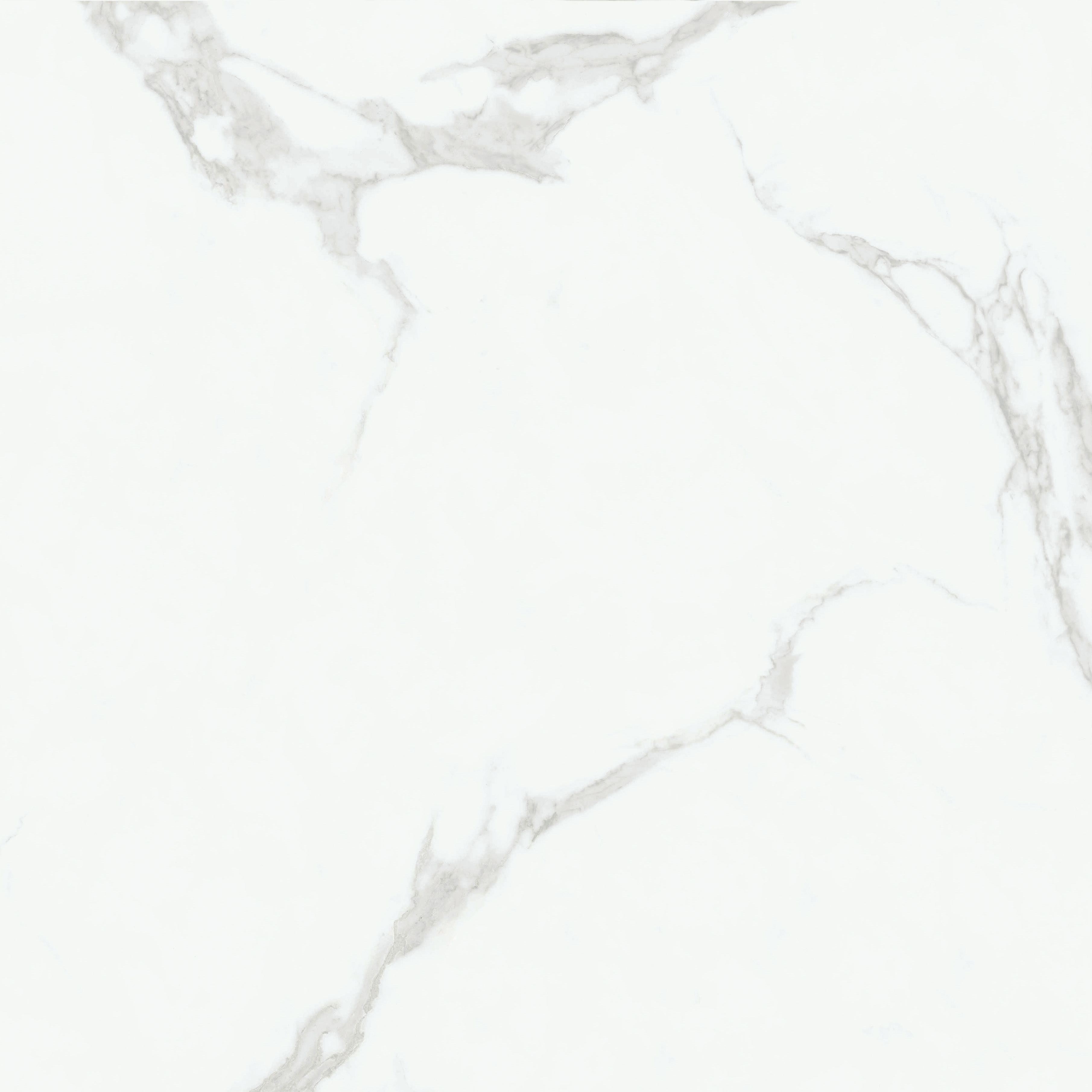 伟德BETVLCTOR1946始于英国(中国游)·官网