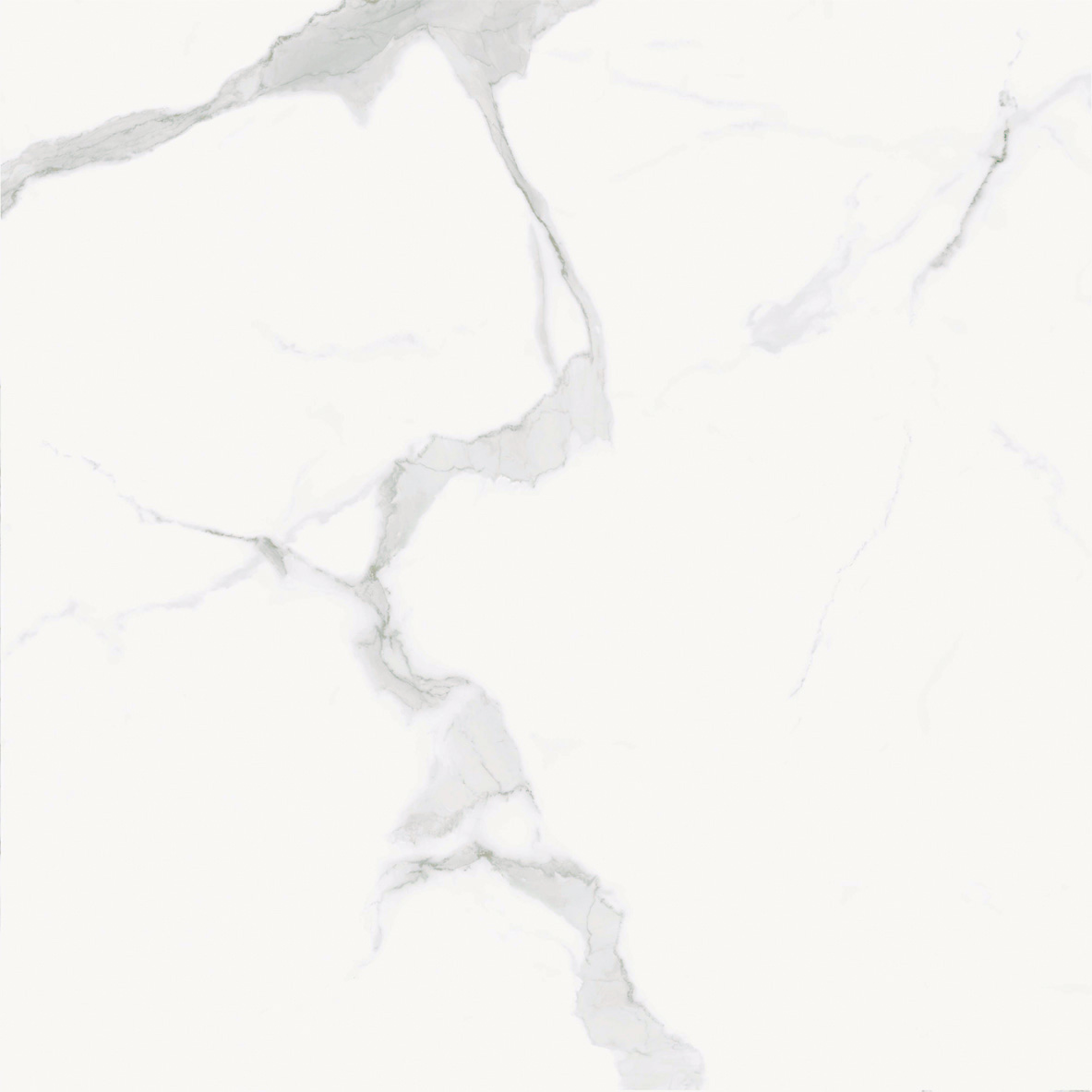 伟德BETVLCTOR1946始于英国(中国游)·官网