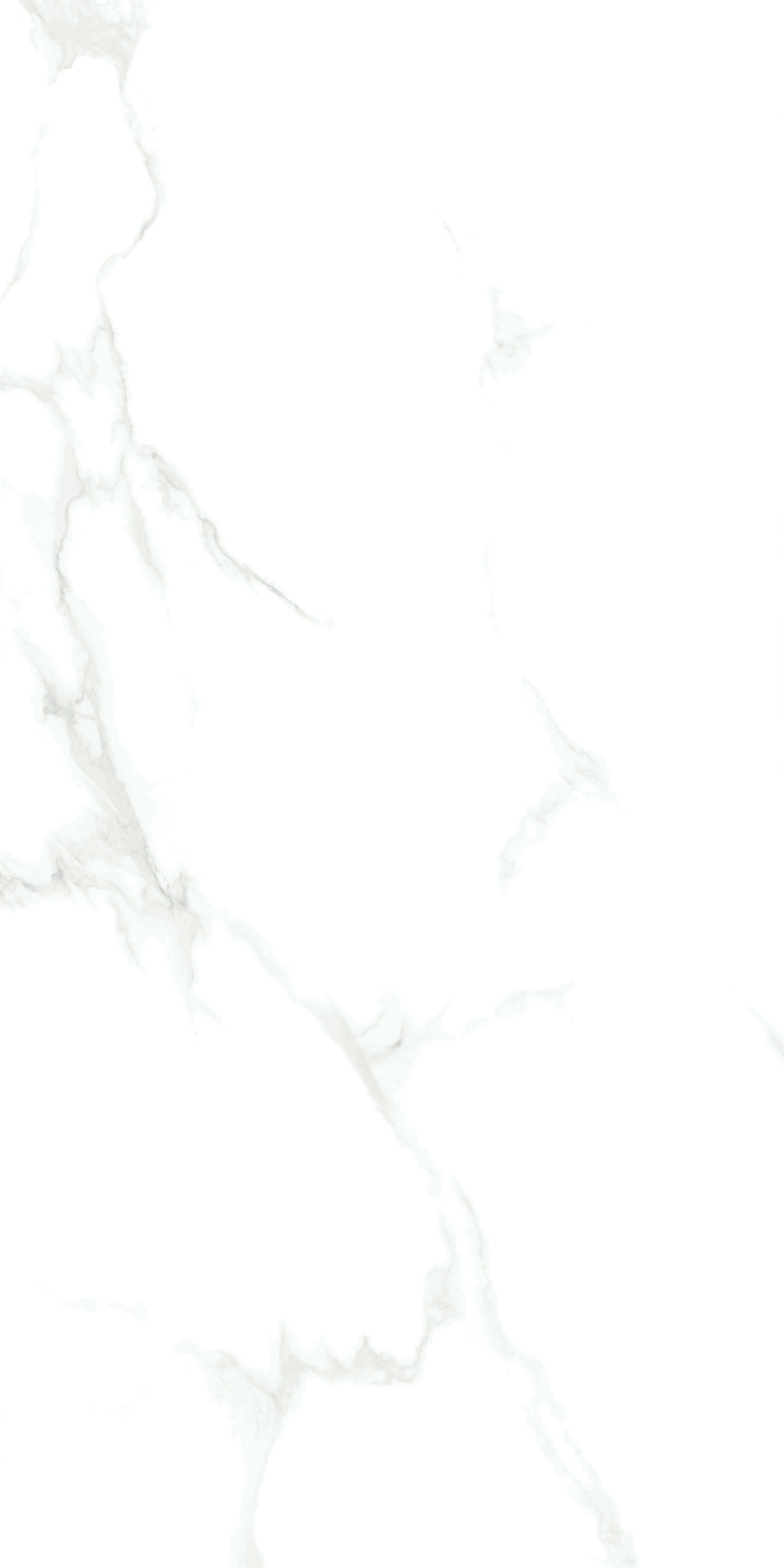 伟德BETVLCTOR1946始于英国(中国游)·官网