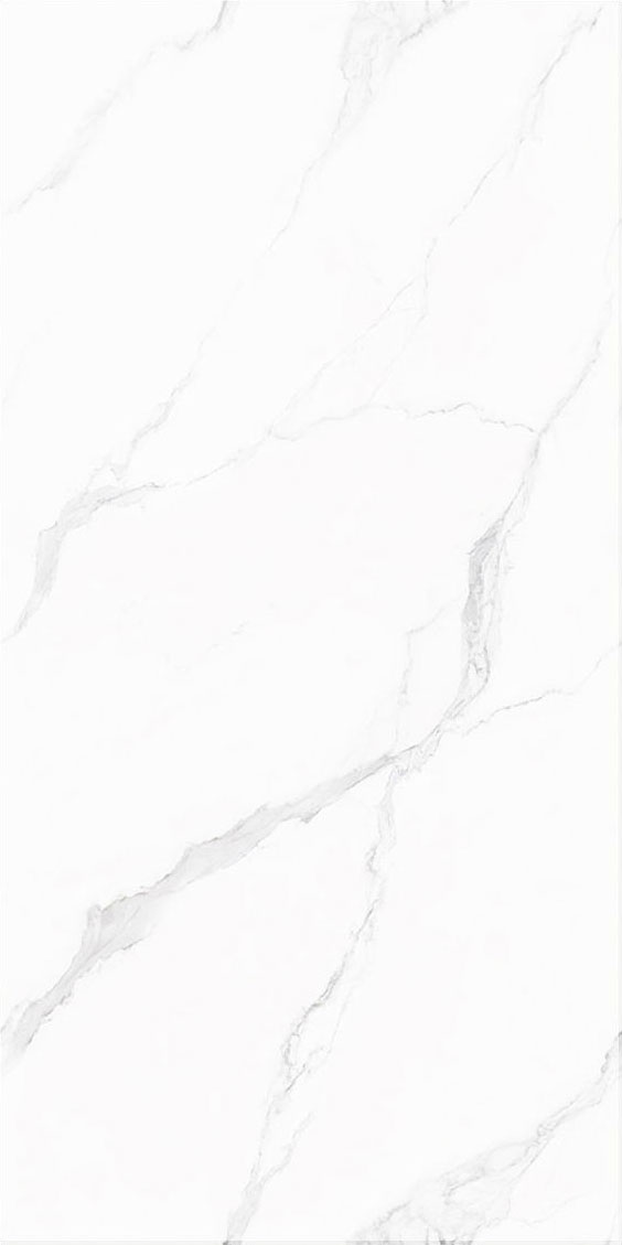 伟德BETVLCTOR1946始于英国(中国游)·官网