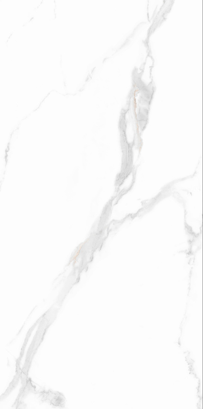 伟德BETVLCTOR1946始于英国(中国游)·官网