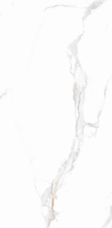 伟德BETVLCTOR1946始于英国(中国游)·官网