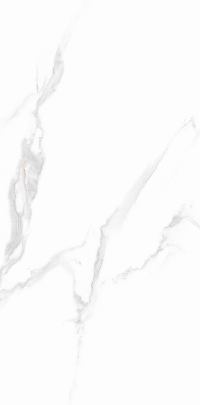 伟德BETVLCTOR1946始于英国(中国游)·官网