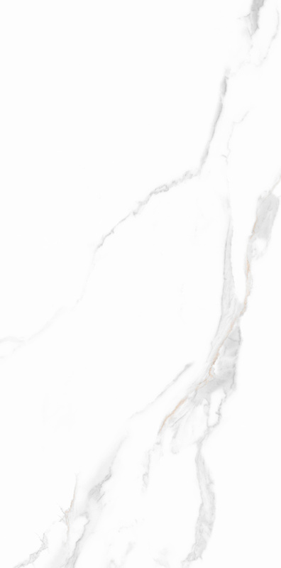 伟德BETVLCTOR1946始于英国(中国游)·官网