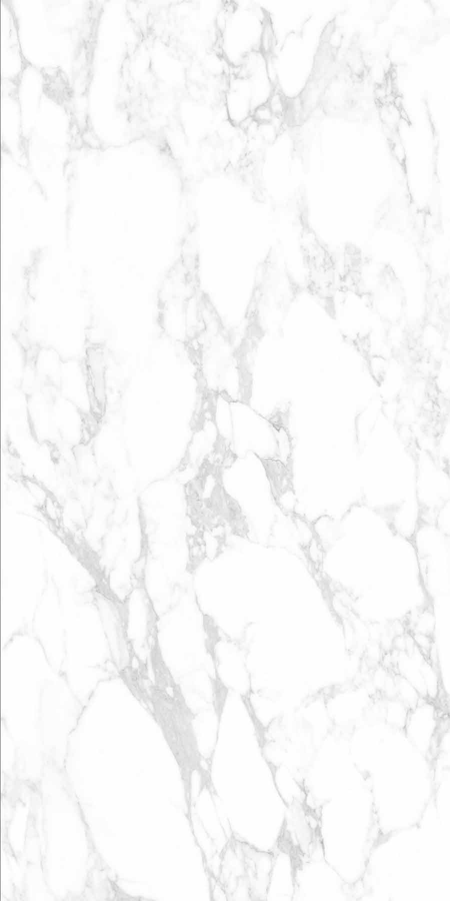 伟德BETVLCTOR1946始于英国(中国游)·官网