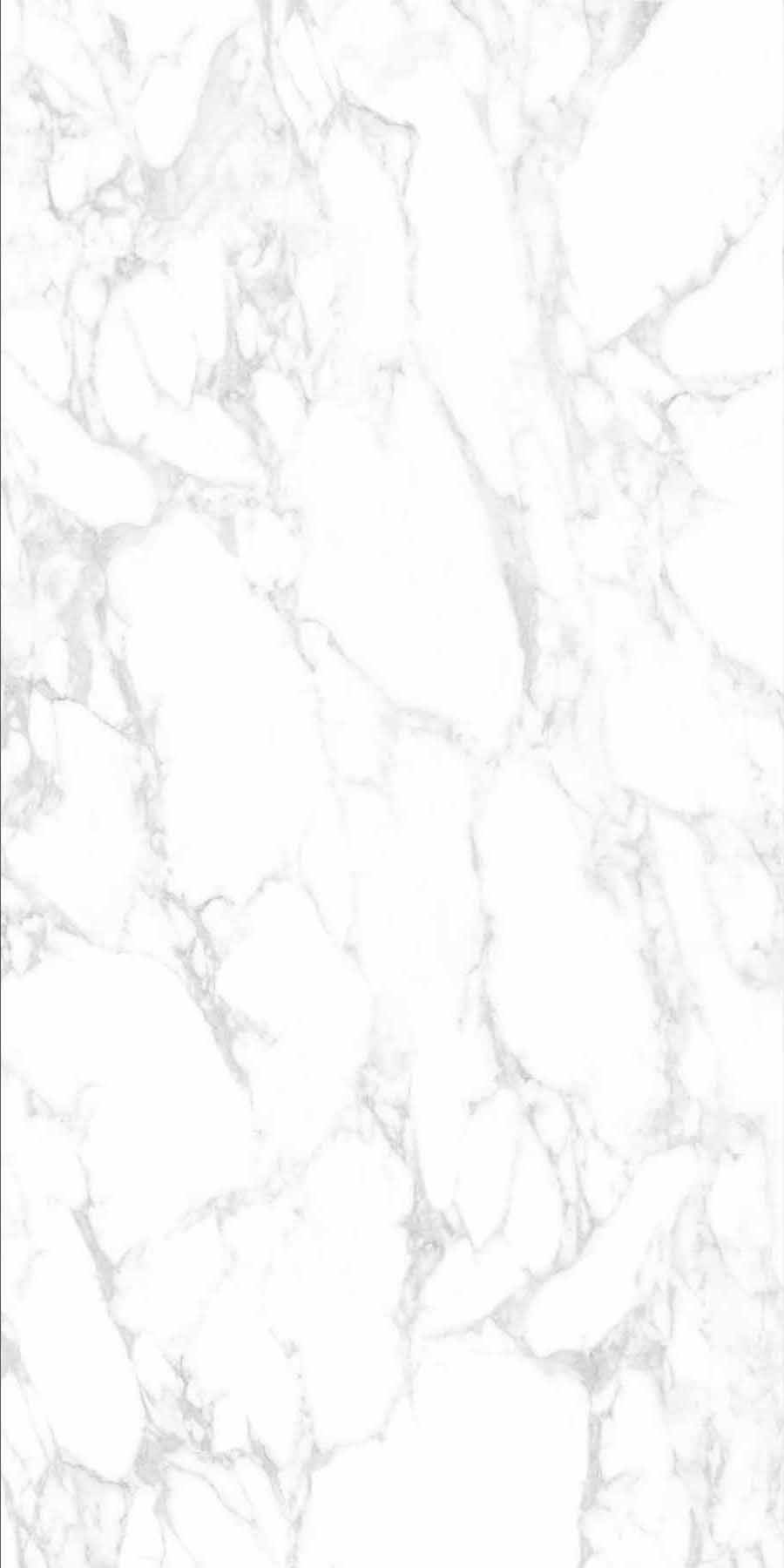 伟德BETVLCTOR1946始于英国(中国游)·官网