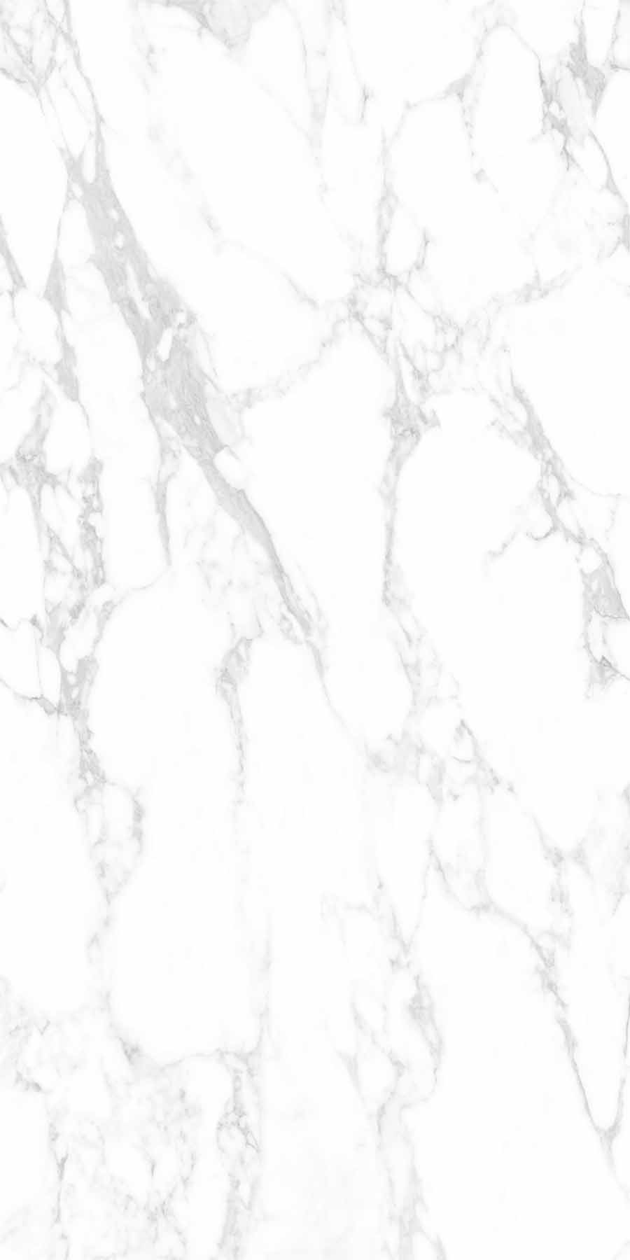 伟德BETVLCTOR1946始于英国(中国游)·官网