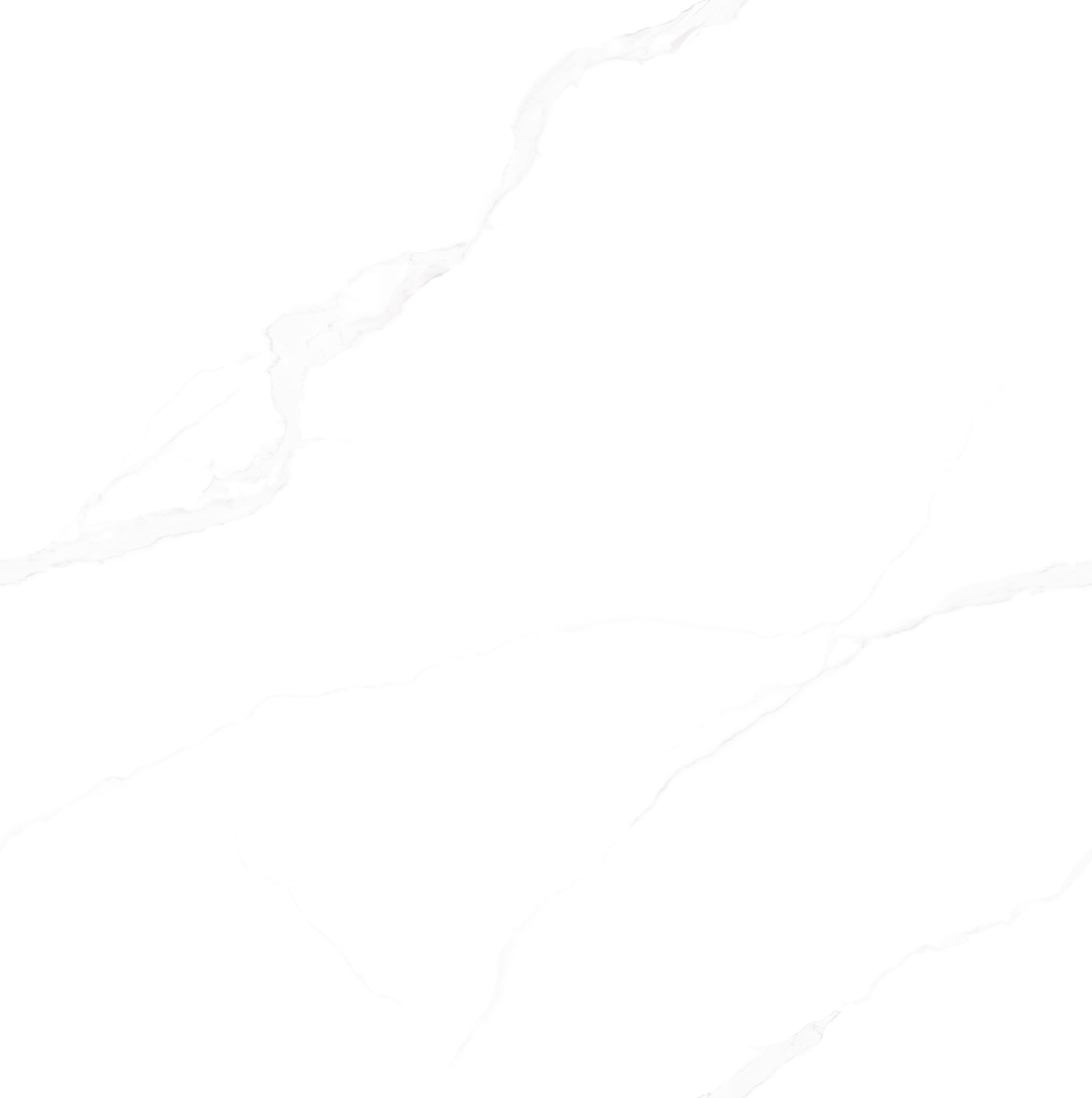 伟德BETVLCTOR1946始于英国(中国游)·官网