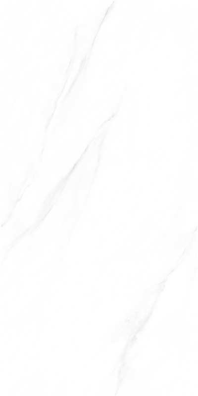 伟德BETVLCTOR1946始于英国(中国游)·官网