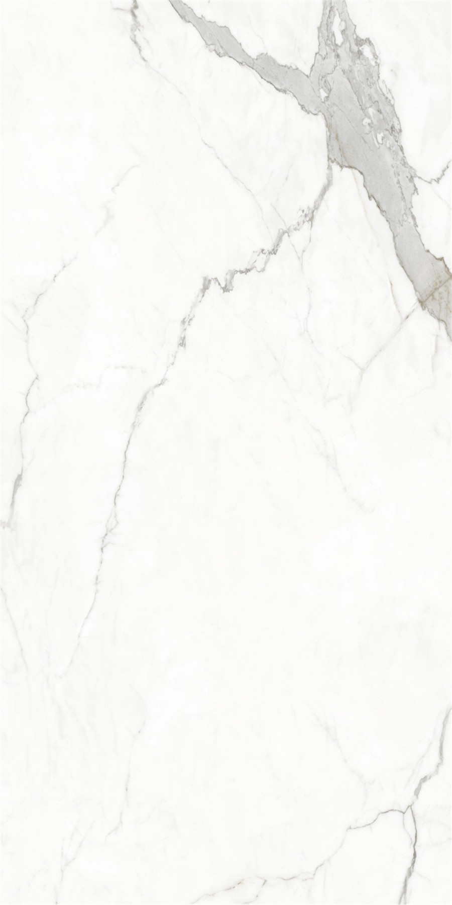 伟德BETVLCTOR1946始于英国(中国游)·官网