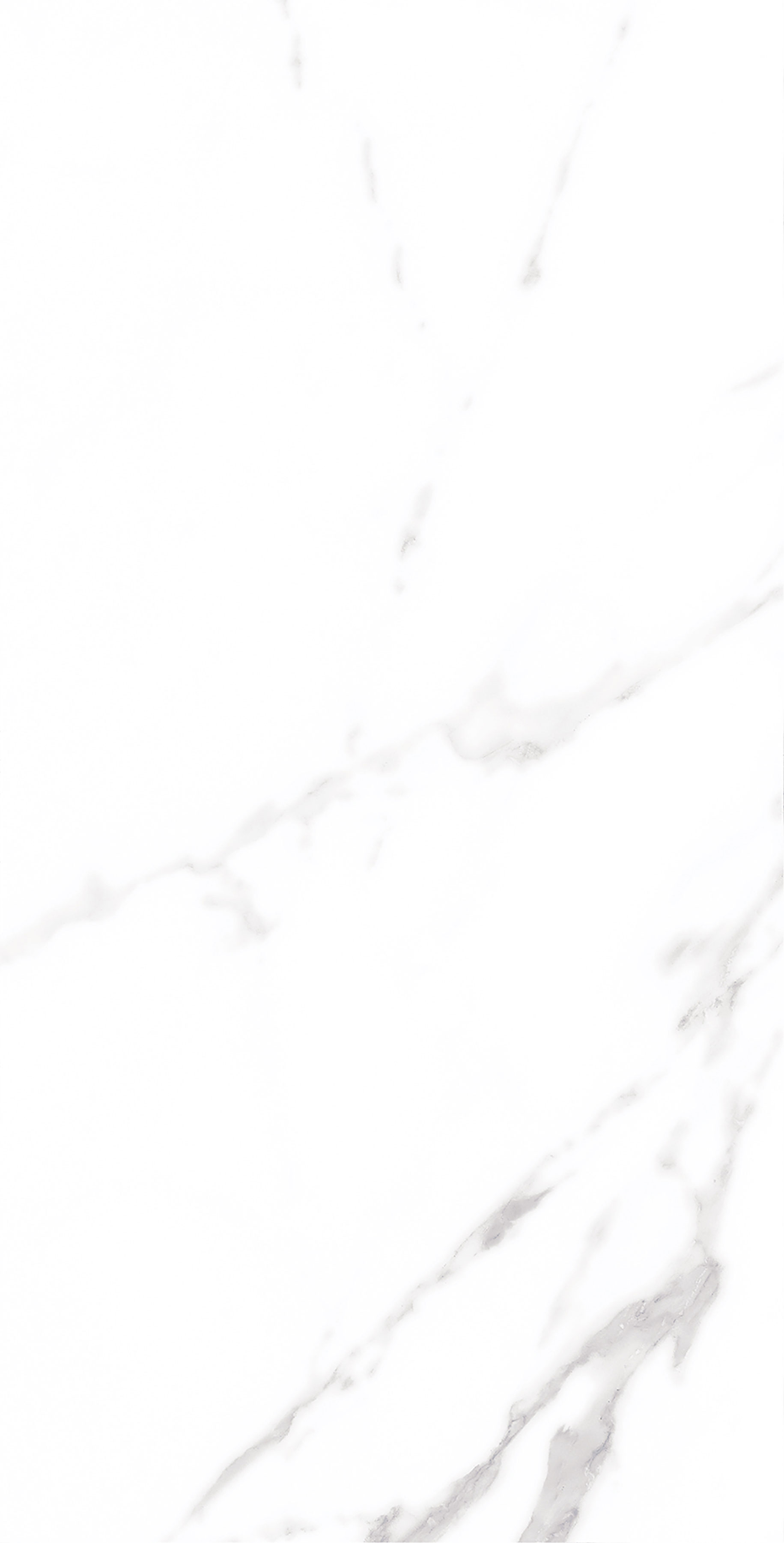 伟德BETVLCTOR1946始于英国(中国游)·官网