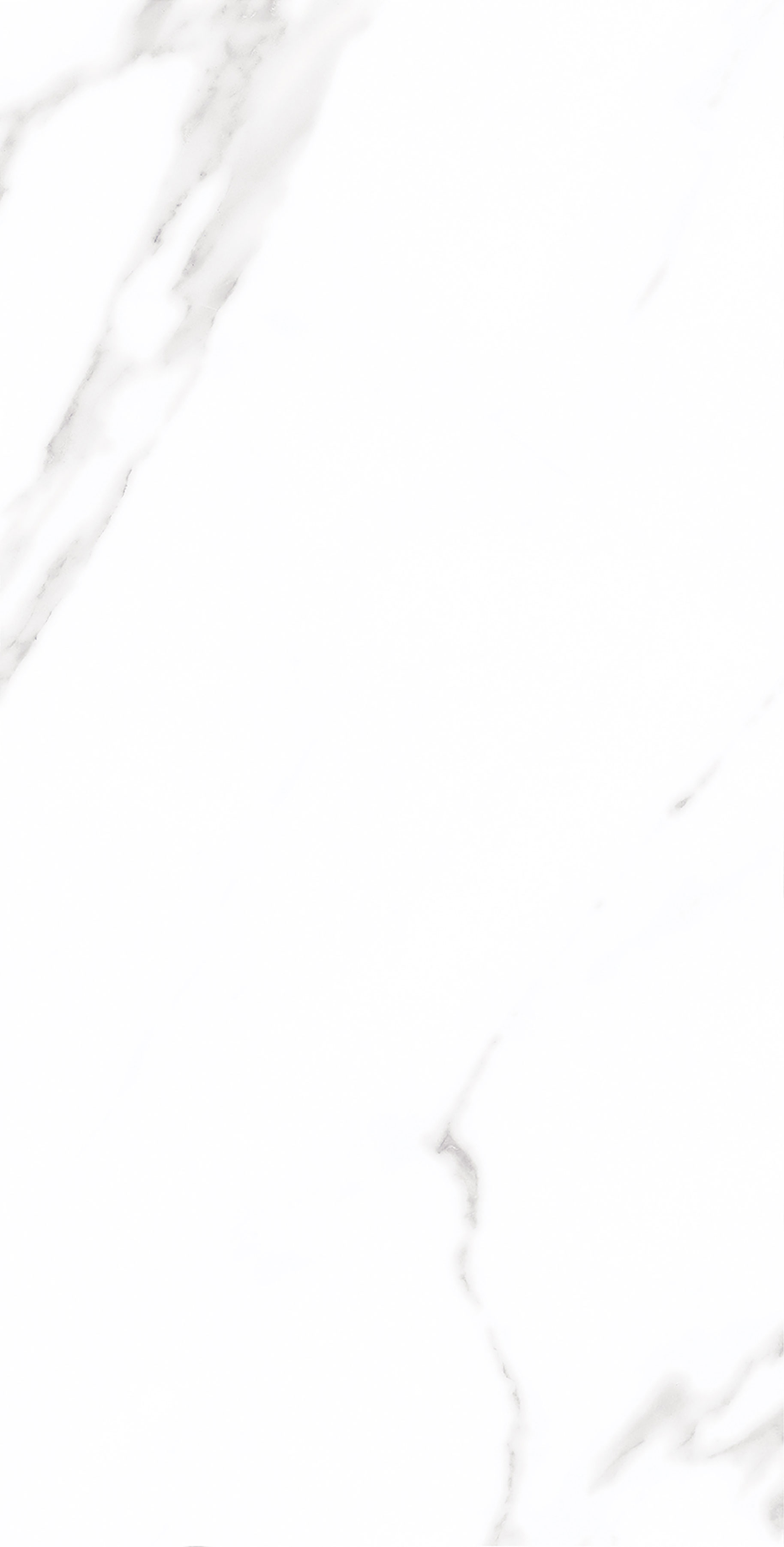 伟德BETVLCTOR1946始于英国(中国游)·官网