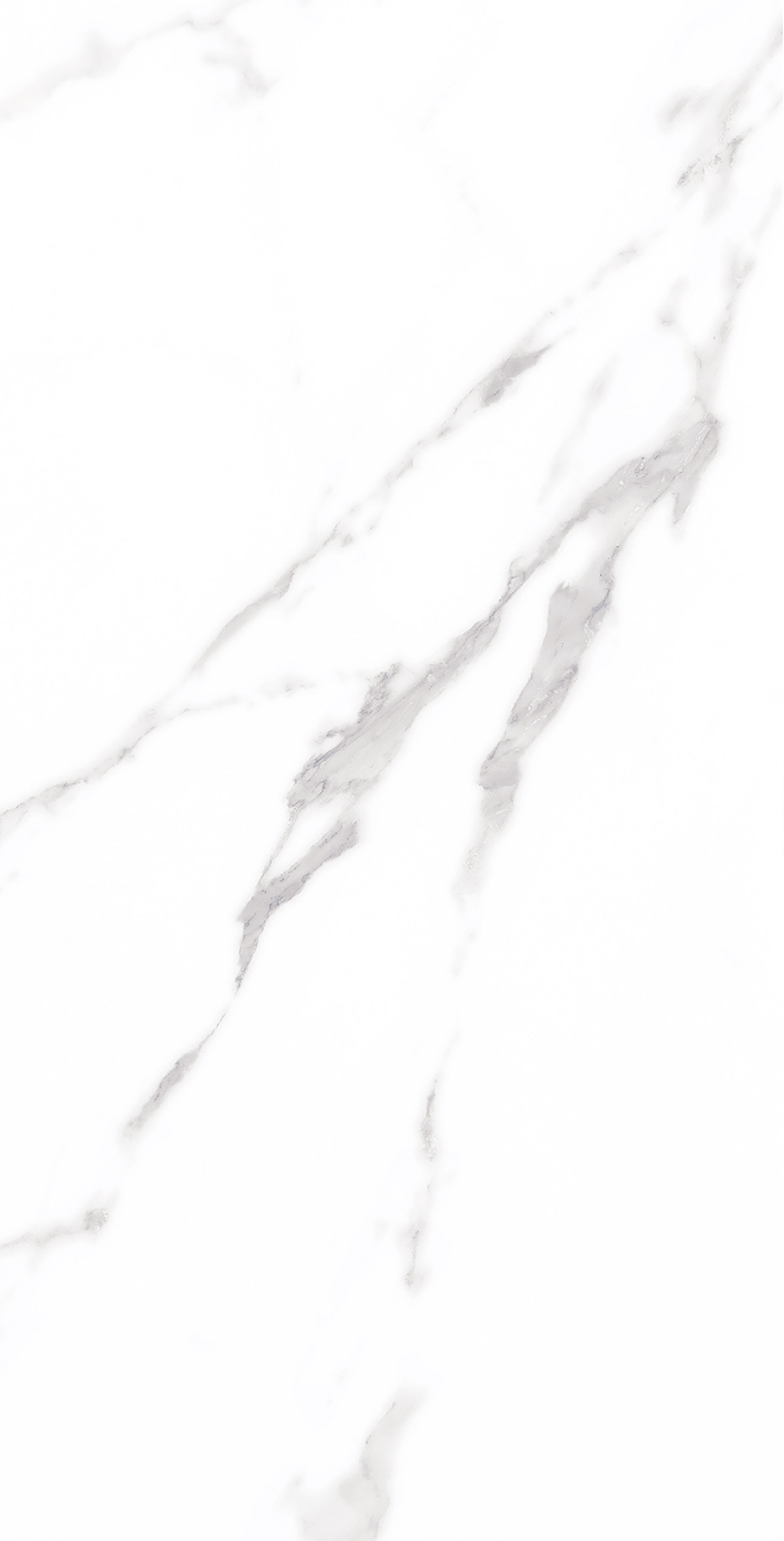 伟德BETVLCTOR1946始于英国(中国游)·官网