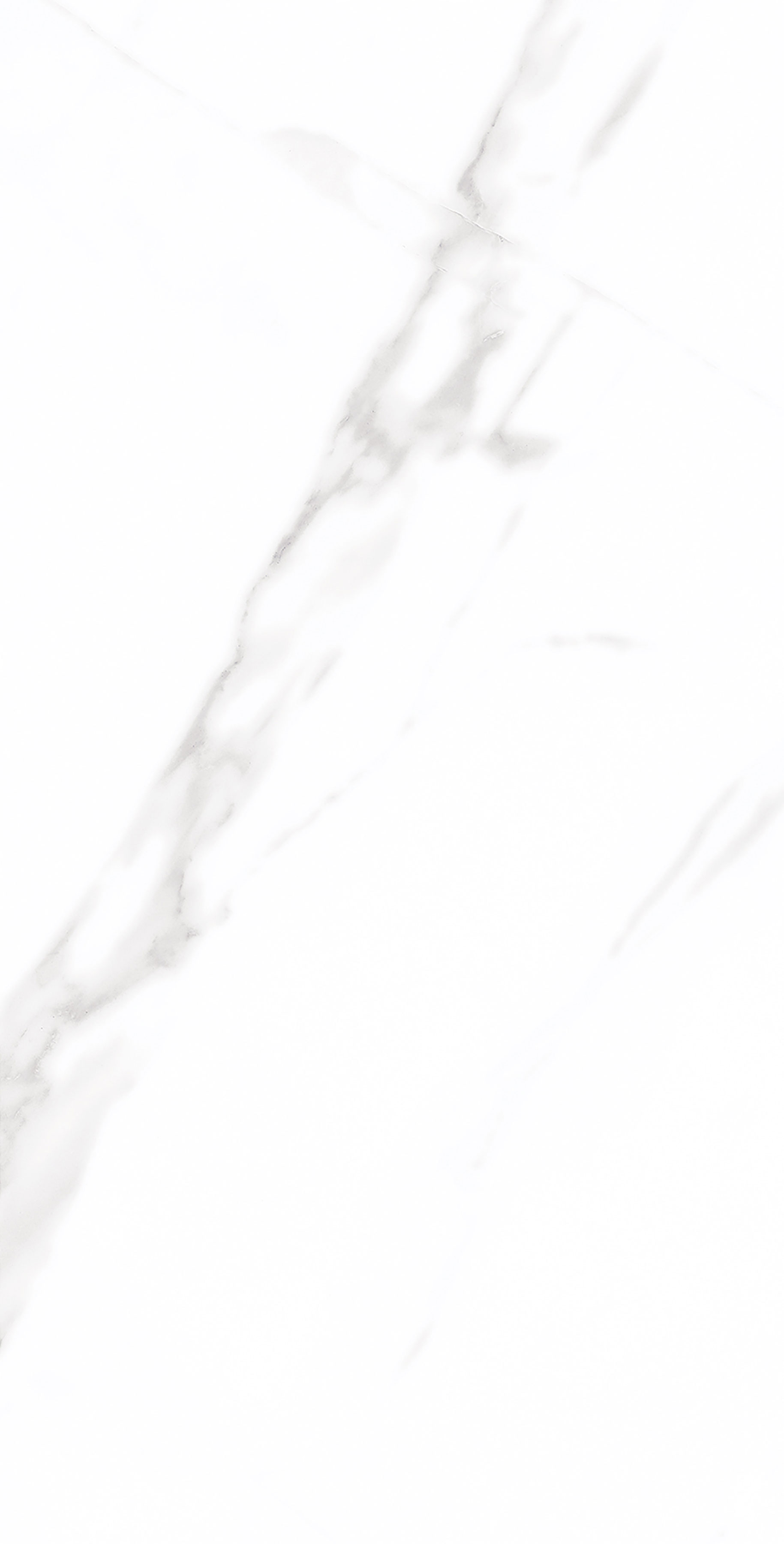 伟德BETVLCTOR1946始于英国(中国游)·官网