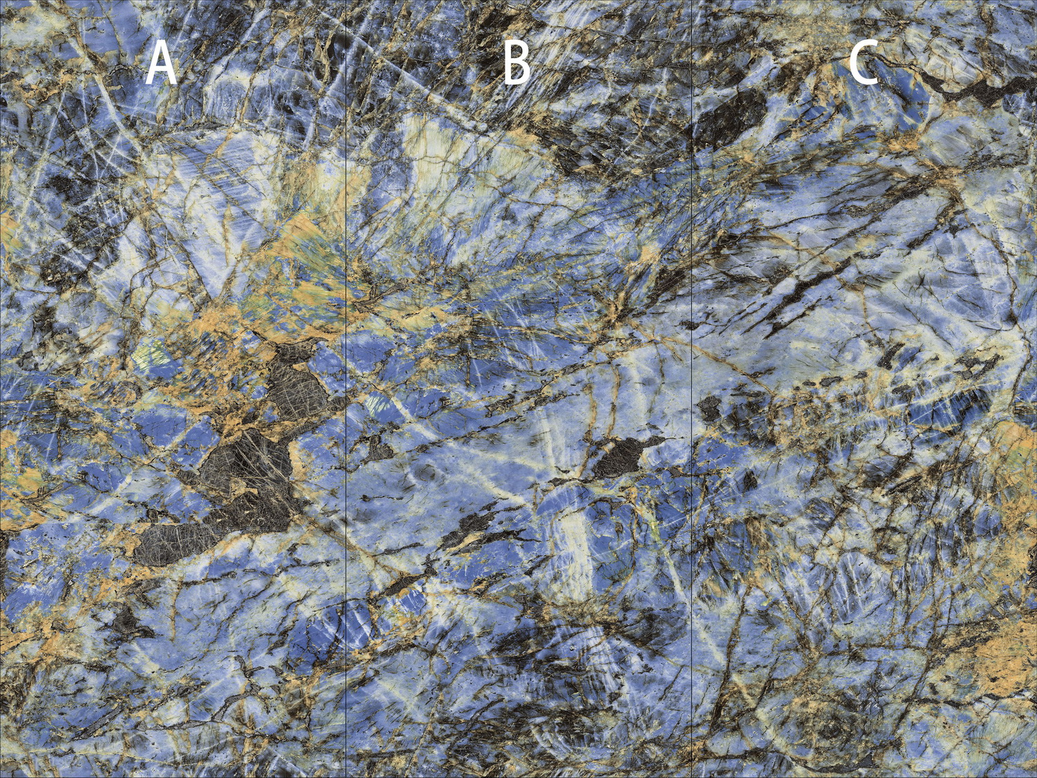 伟德BETVLCTOR1946始于英国(中国游)·官网