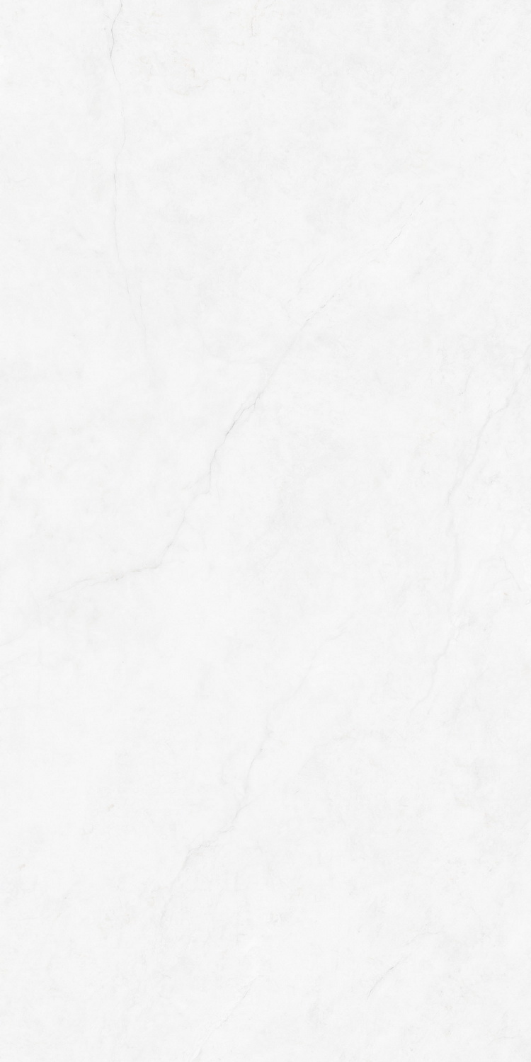 伟德BETVLCTOR1946始于英国(中国游)·官网