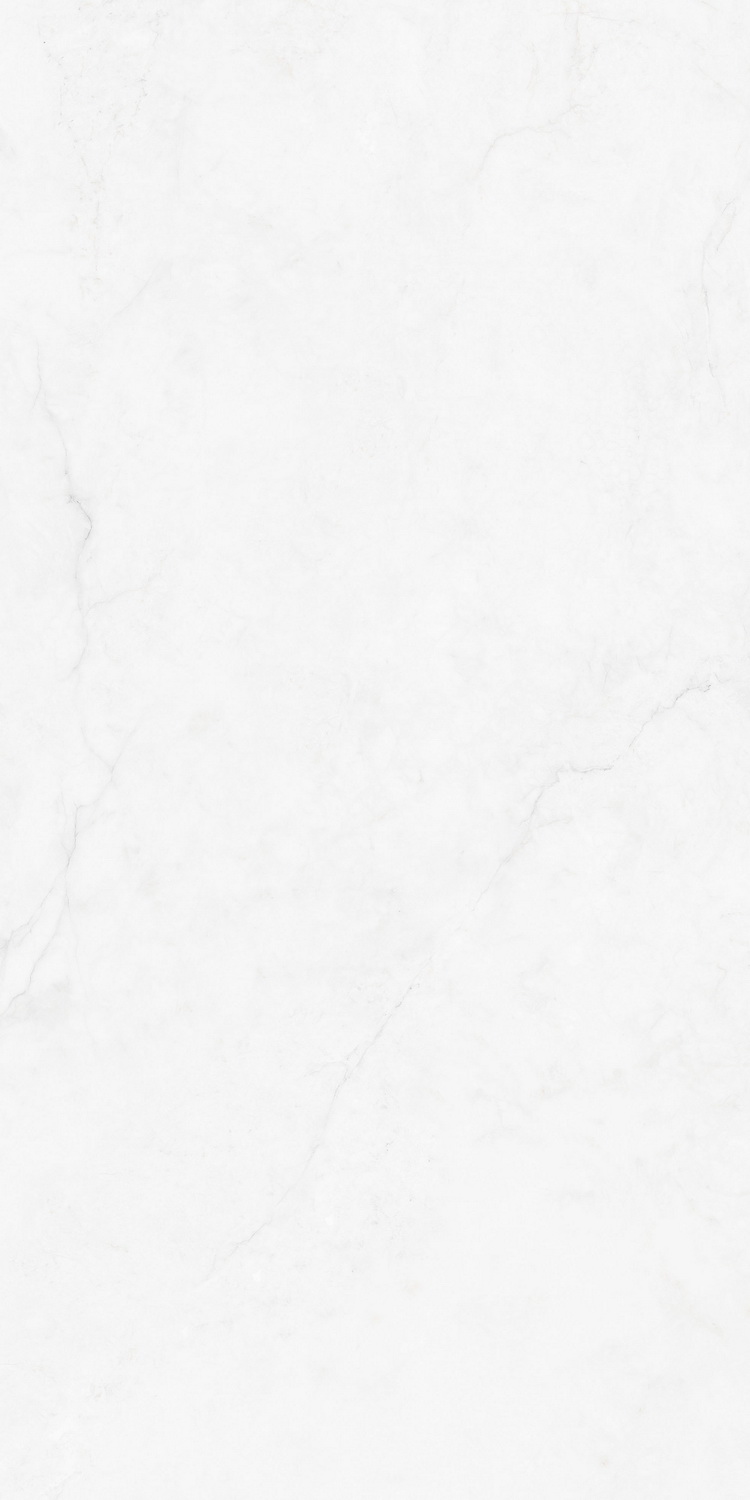 伟德BETVLCTOR1946始于英国(中国游)·官网