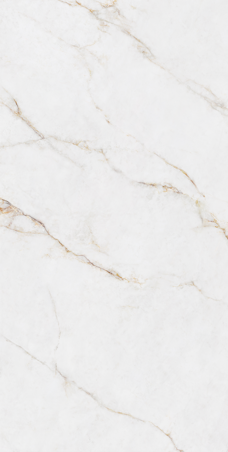 伟德BETVLCTOR1946始于英国(中国游)·官网