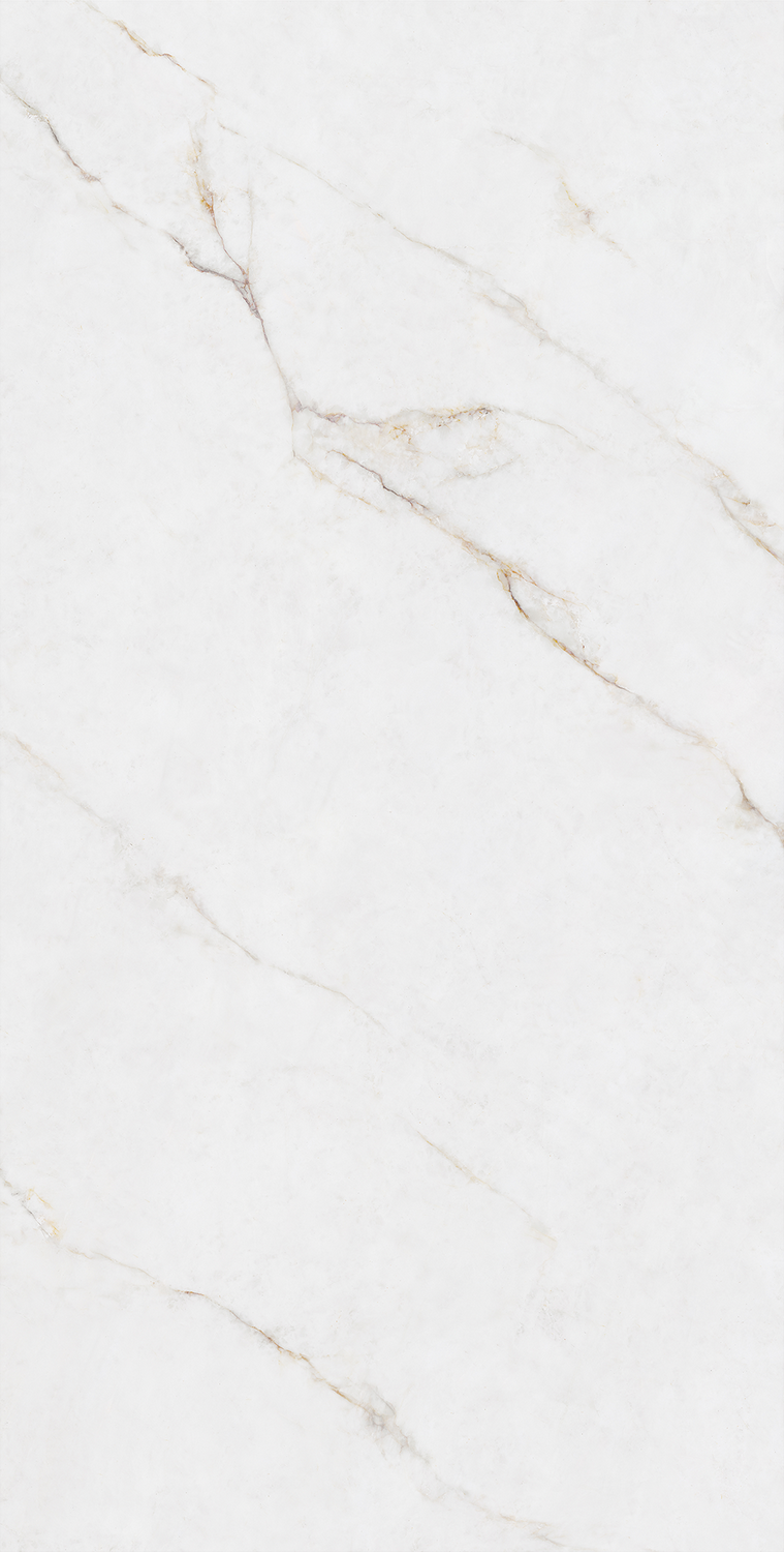 伟德BETVLCTOR1946始于英国(中国游)·官网