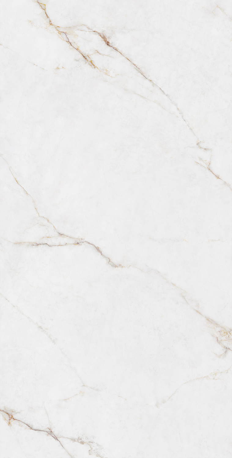 伟德BETVLCTOR1946始于英国(中国游)·官网