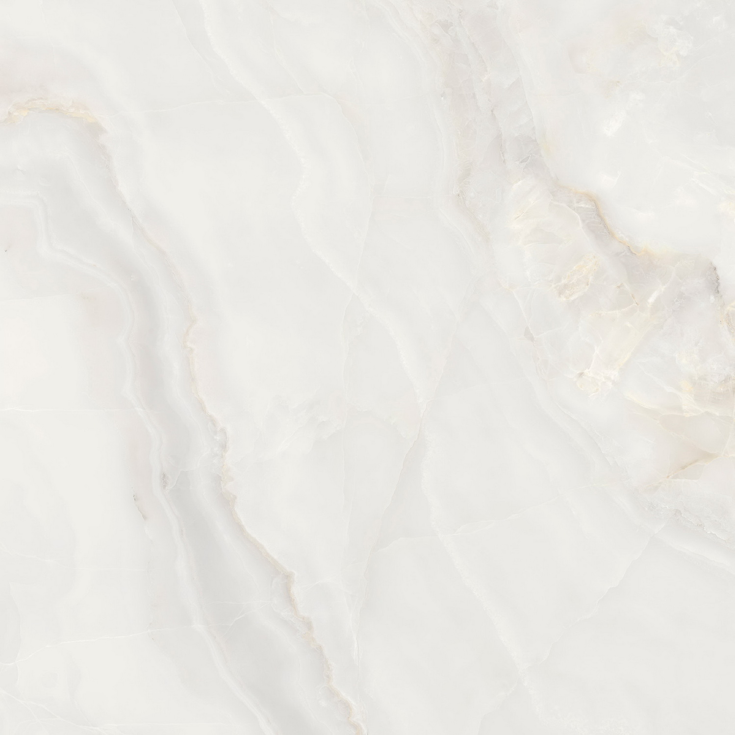 伟德BETVLCTOR1946始于英国(中国游)·官网