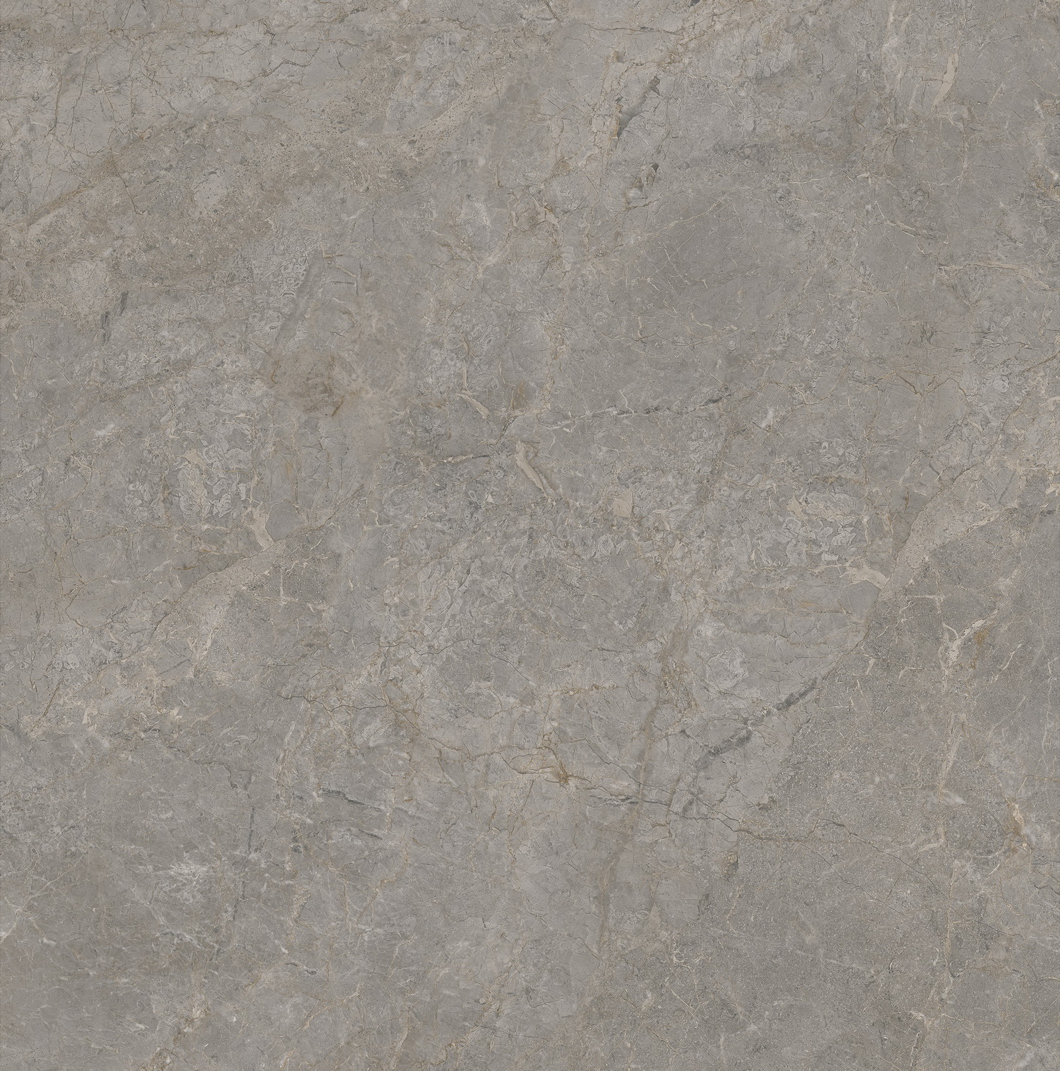 伟德BETVLCTOR1946始于英国(中国游)·官网