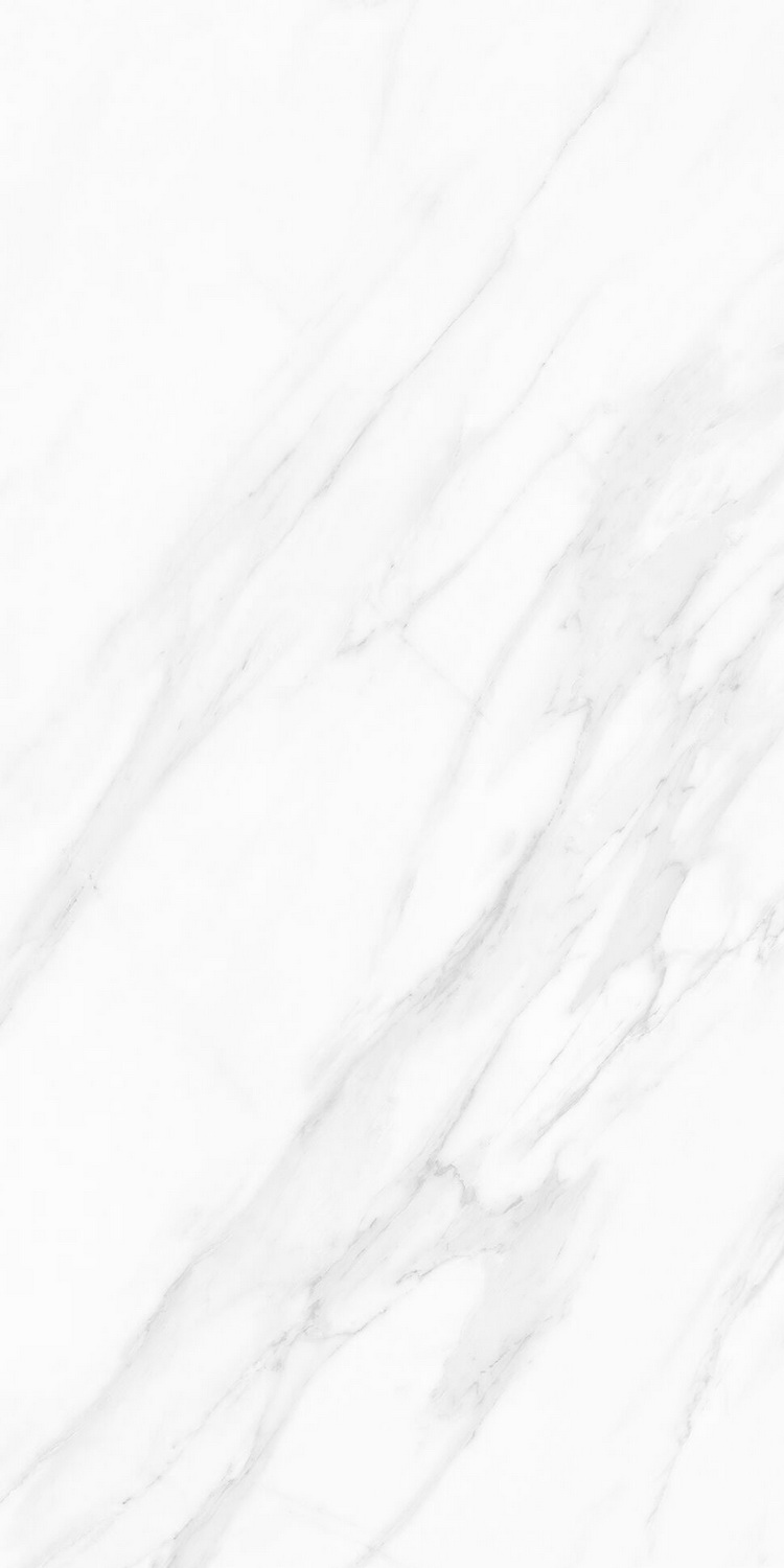 伟德BETVLCTOR1946始于英国(中国游)·官网